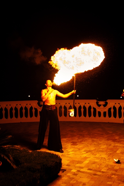 Фаер шоу на праздник