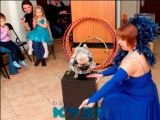 Услуга Шоу Дрессированных Собачек